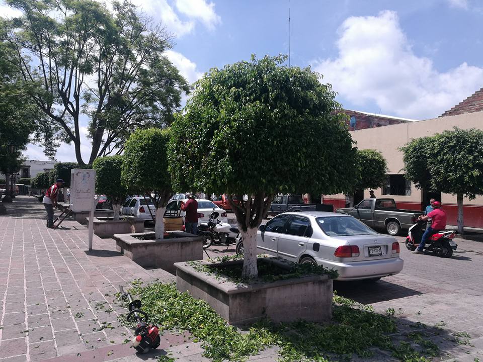 Jardín Morelos listo para el Día del Hijo Ausente 2017