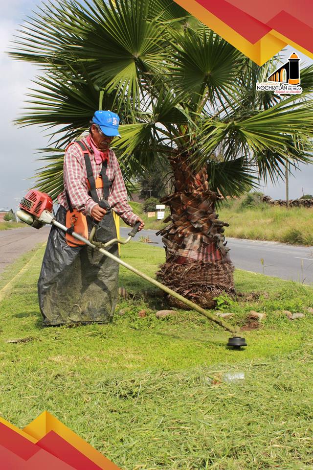 Mantenimiento a Parque y Jardines