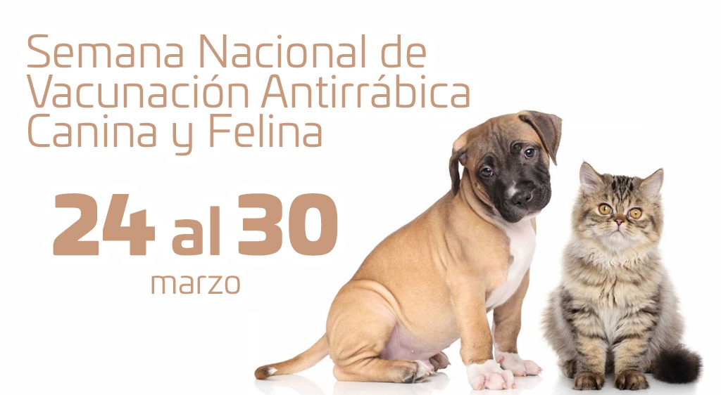 Semana Nacional de Vacunación Antirrábica Canina y Felina 2019