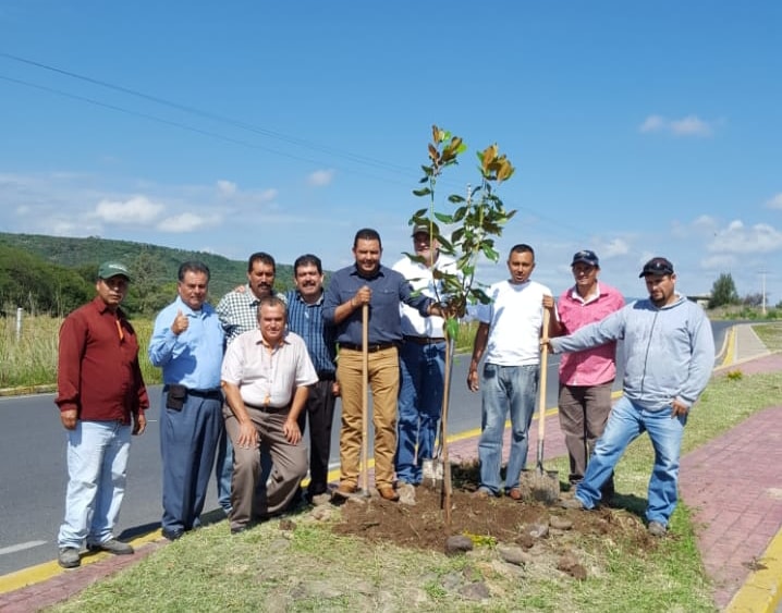 Seguimos Reforestando