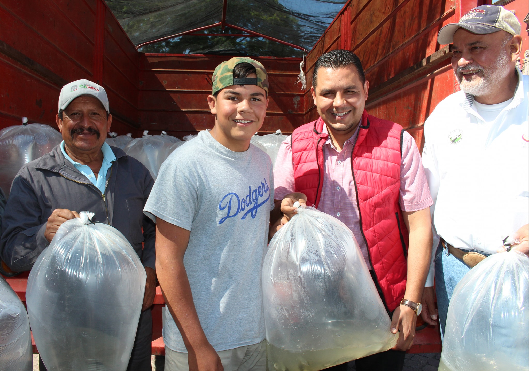 Entrega de alevines de tilapia