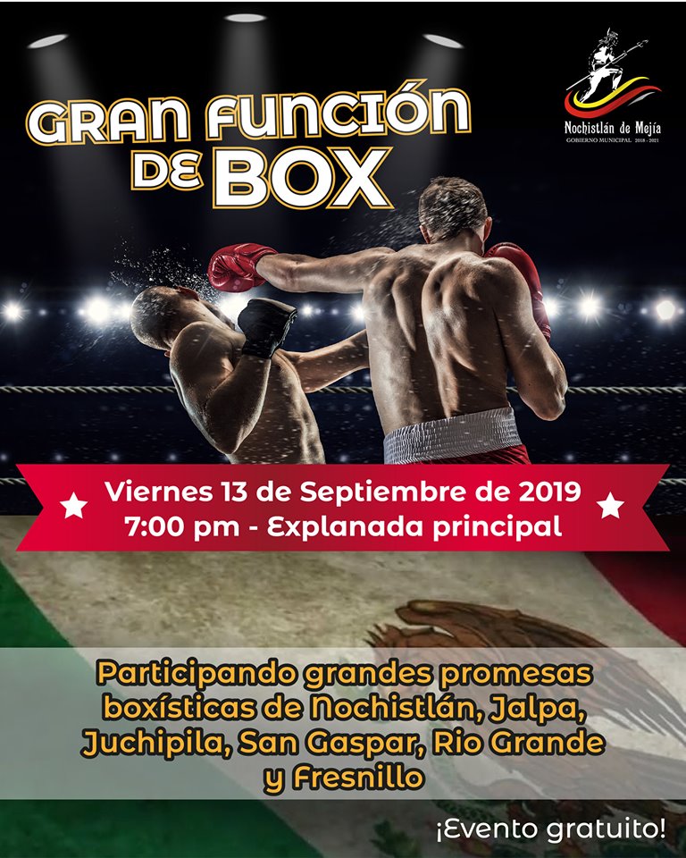 Gran pelea de Box