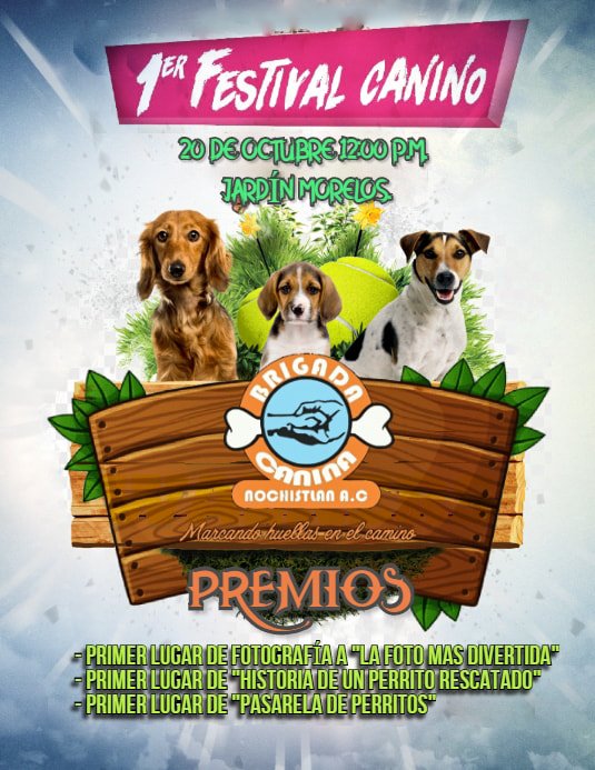 Primer Festival Canino