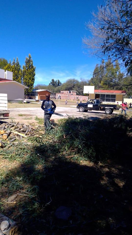 Poda y reforestación en primaria de Toyahua de Abajo