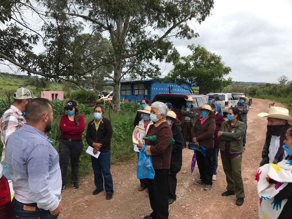 Entregamos plantas de durazno y semilla de frijol en la región de Tlachichila