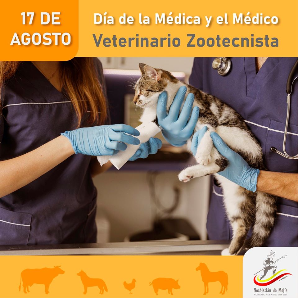 Felicidades a los veterinarios nochistlenses