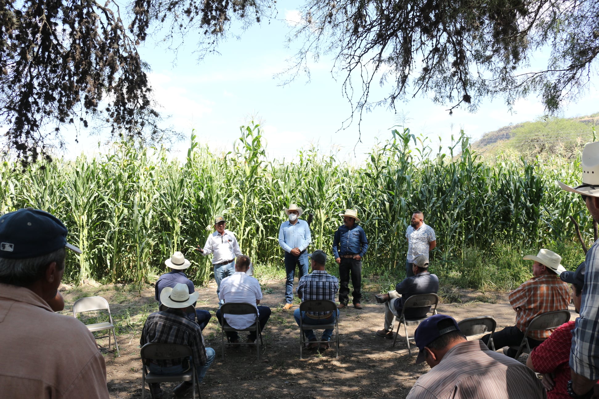 Parcela tecnificada demuestra la importancia de innovar en el campo.