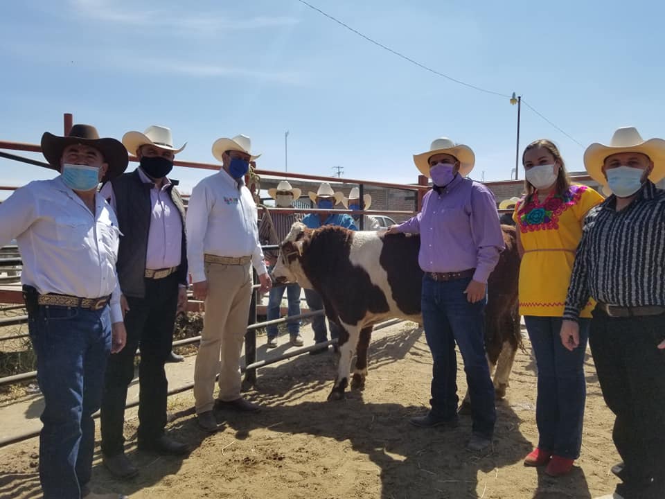 Entregamos ceméntales a productores ganaderos