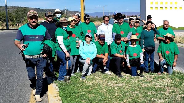 Campaña de reforestación y limpieza en el boulevard