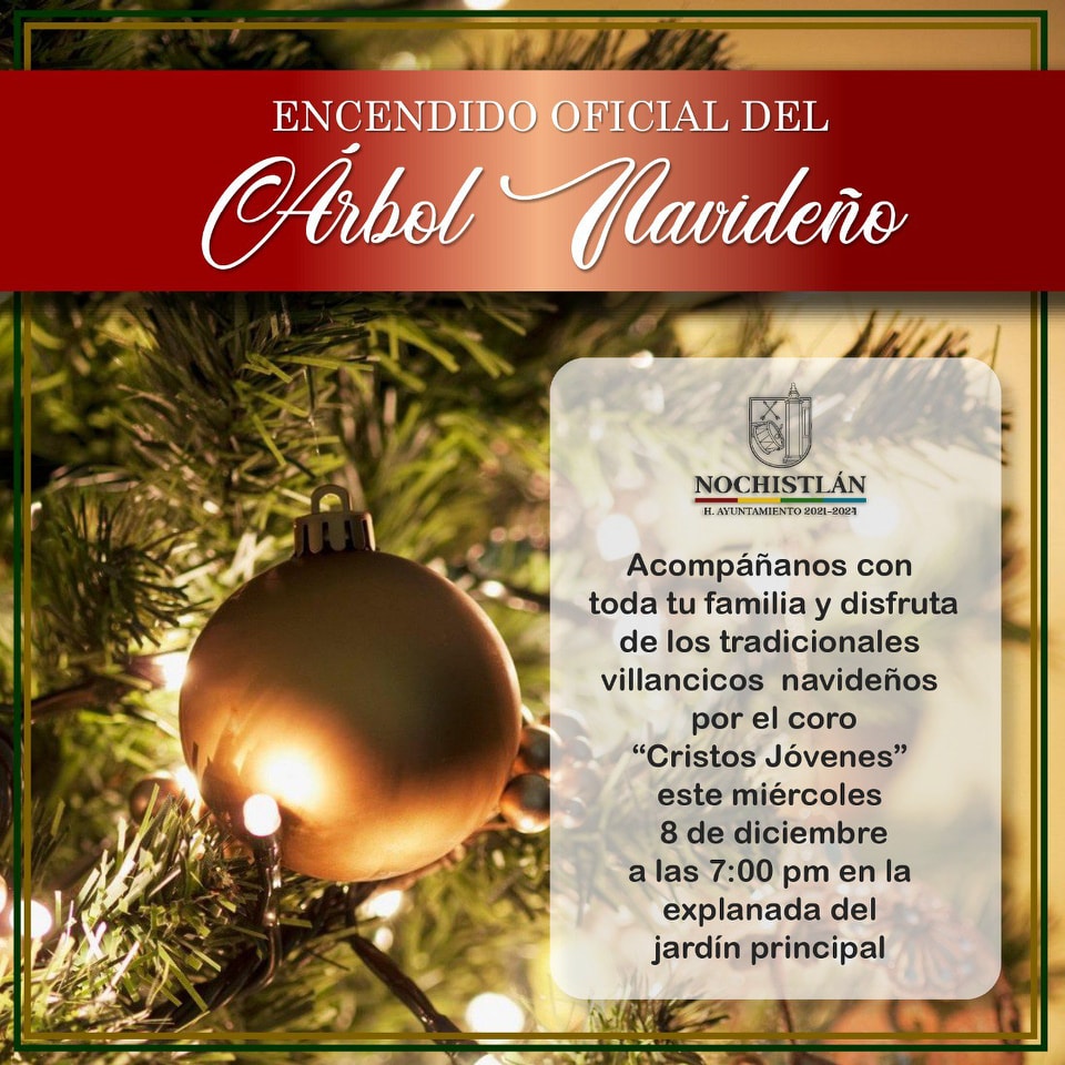 ¡Encendido del árbol navideño!