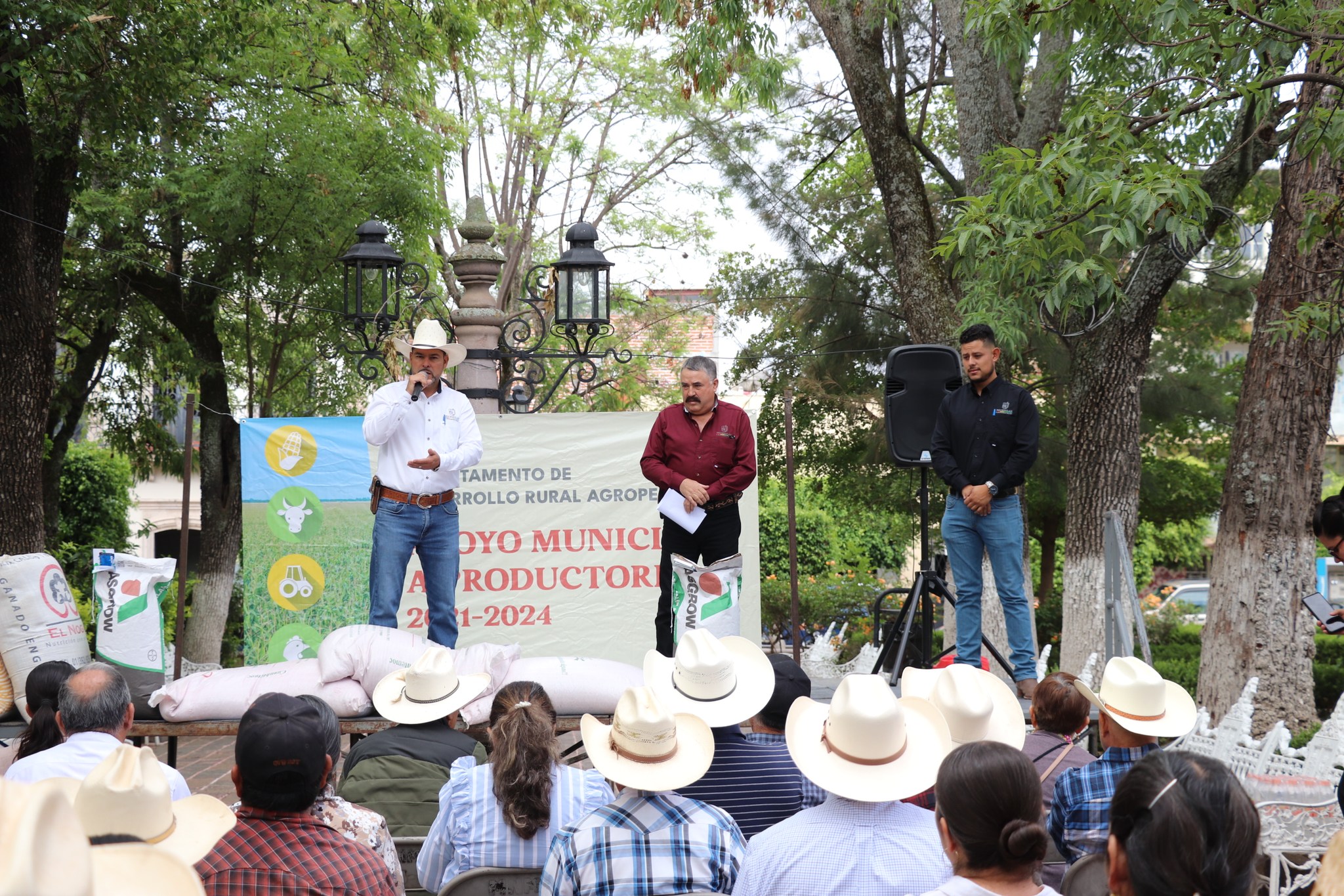 Entrega de semillas mejoradas de maíz, avena y pasto rodex.