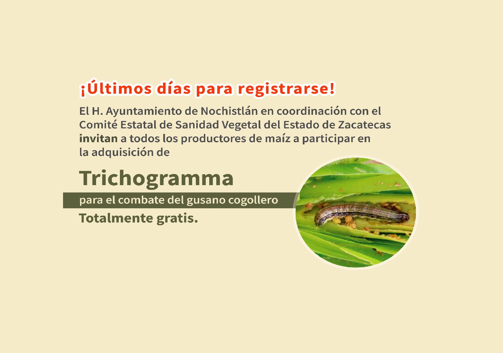 Aun puedes registrarte para adquirir trichogramma