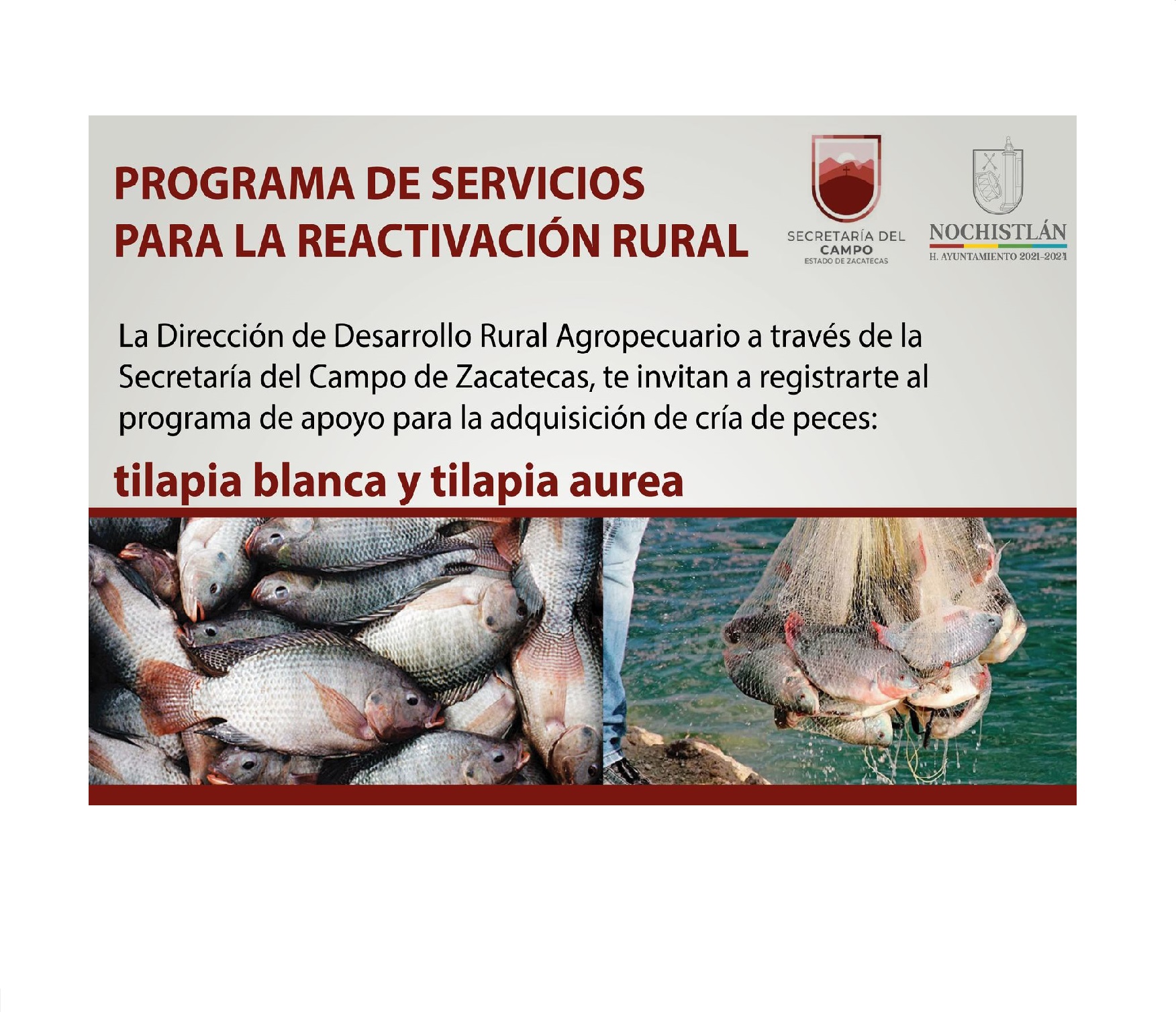 Programa De Servicios Para La Reactivación Rural