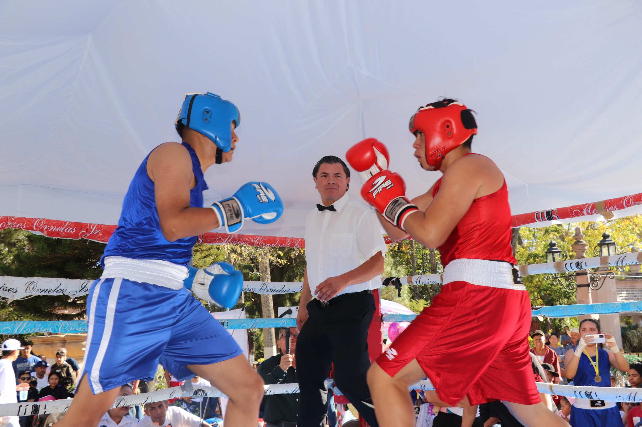 Gran Función de Box