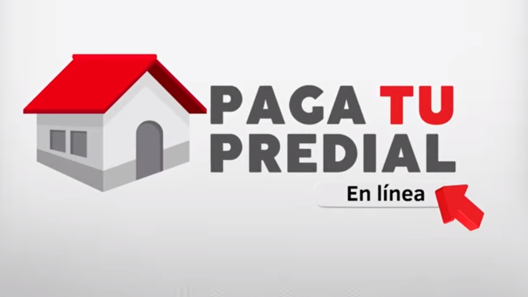 Paga tu predial en oficina o en linea