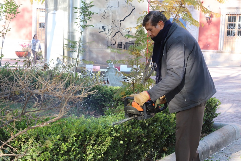 Director de parques y jardines encabeza el mantenimiento del jardín Morelos