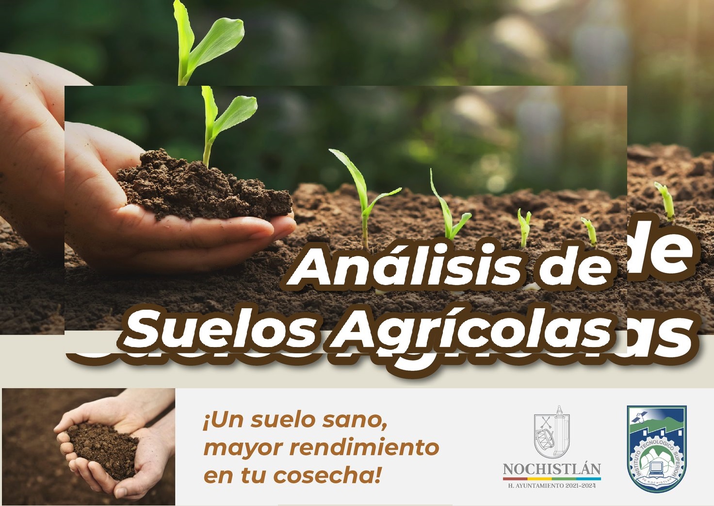 Programa Para Análisis De Suelo Agrícola