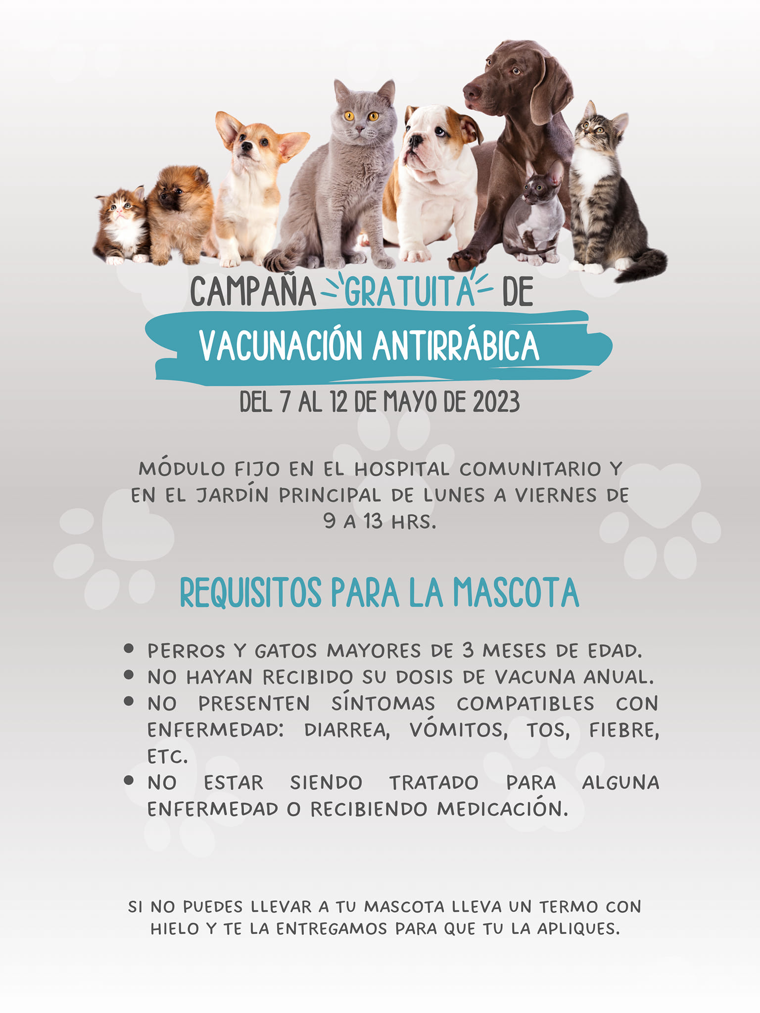 Campaña Gratuita de Tratamiento Antilluvia y Antimosquitos – Ayuntamiento  de Uceda