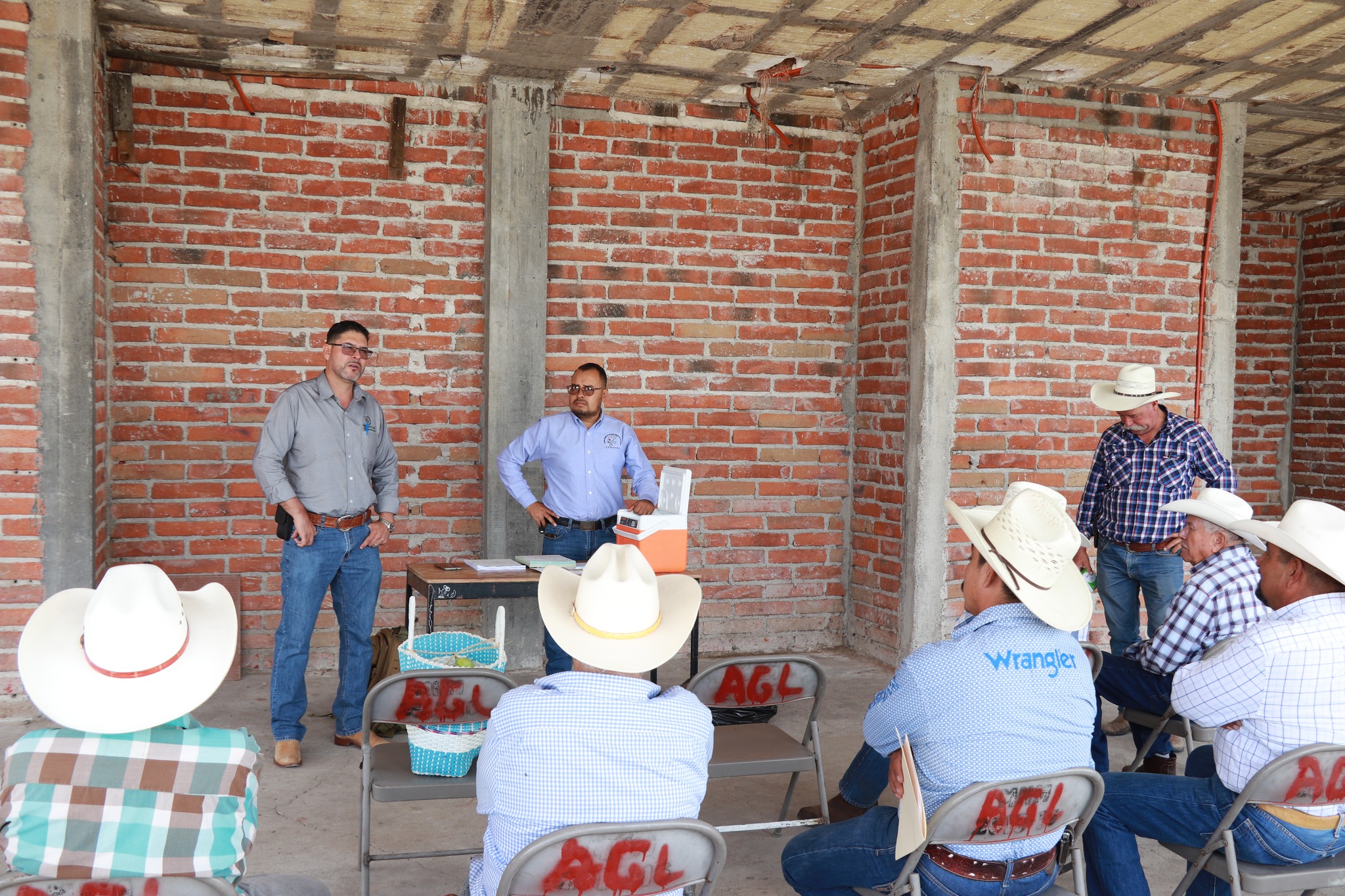 Entrega de trichogramma para el control de plagas en el cultivo de maíz.