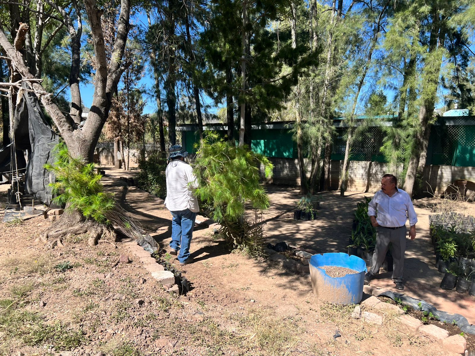 Nos preparamos para la campaña de reforestación 2025