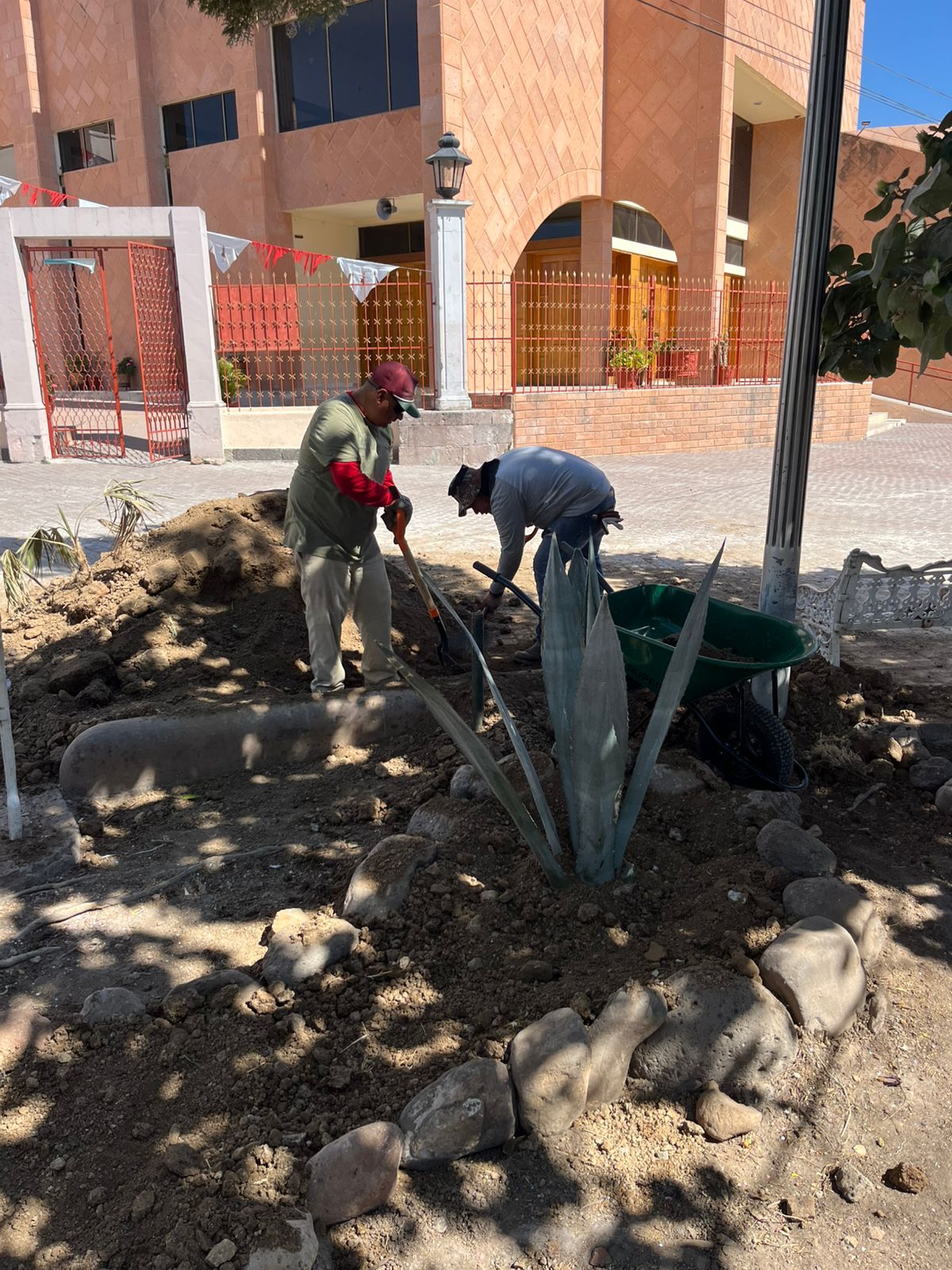 Inician trabajos de mantenimiento en el jardín de San Sebastián