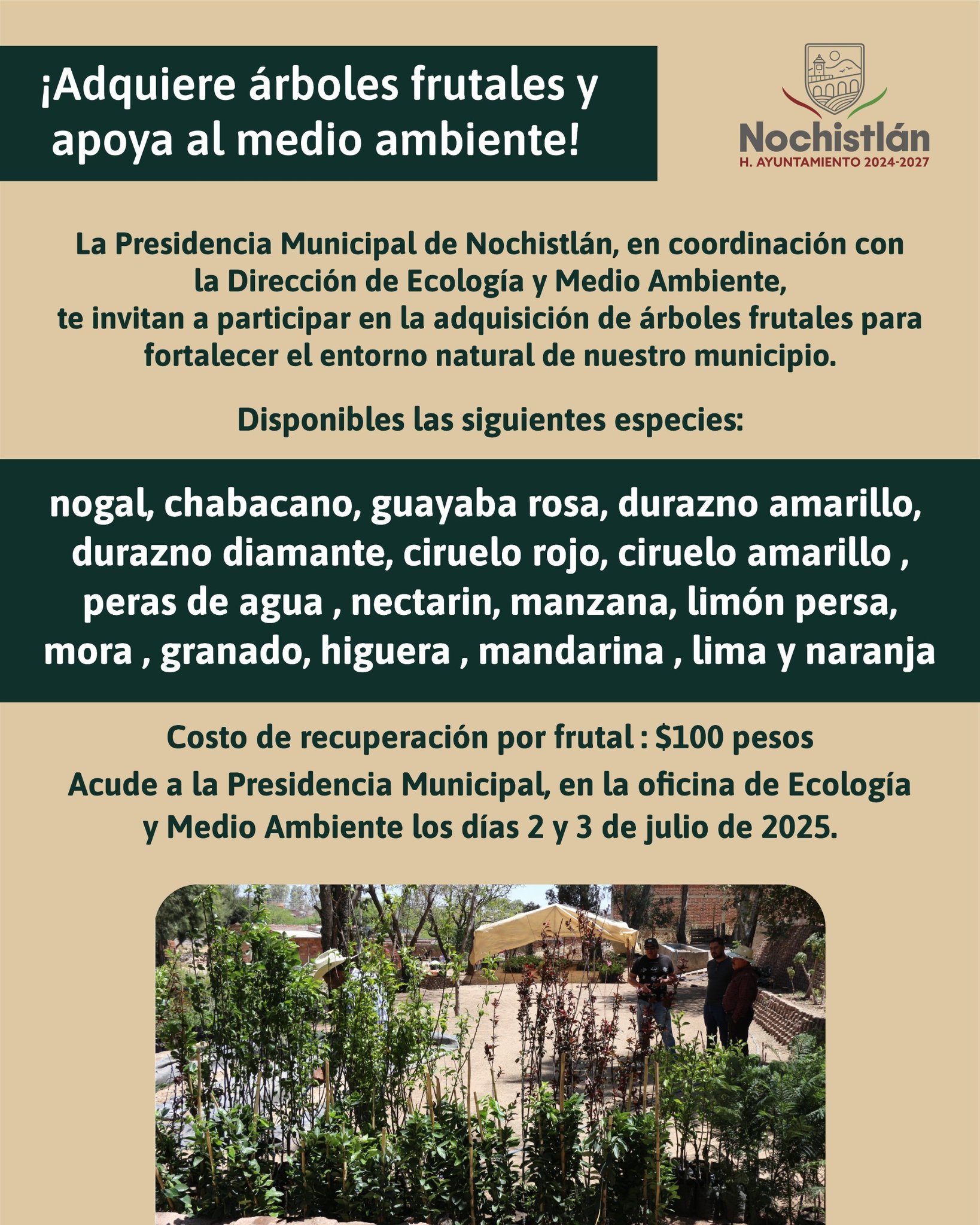 Adquiere un árbol frutal