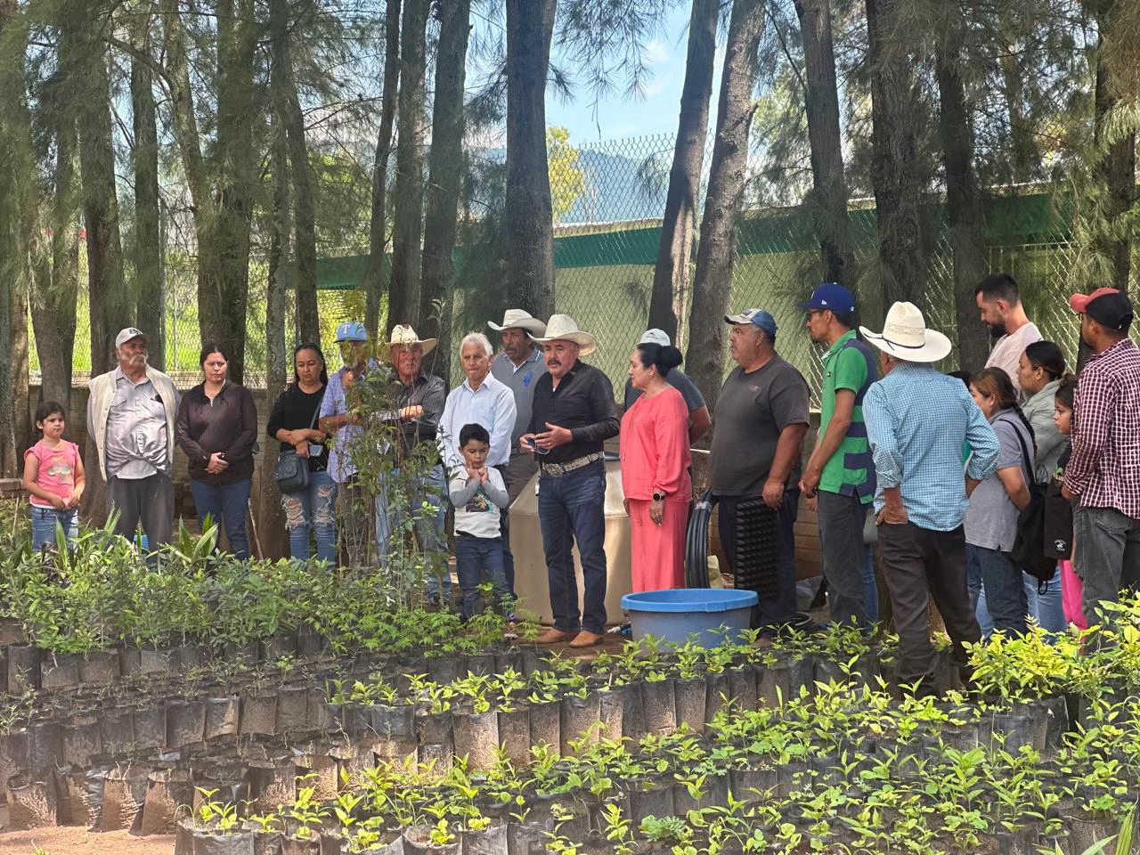 Paquetes de huertos frutales y hortalizas para mujeres