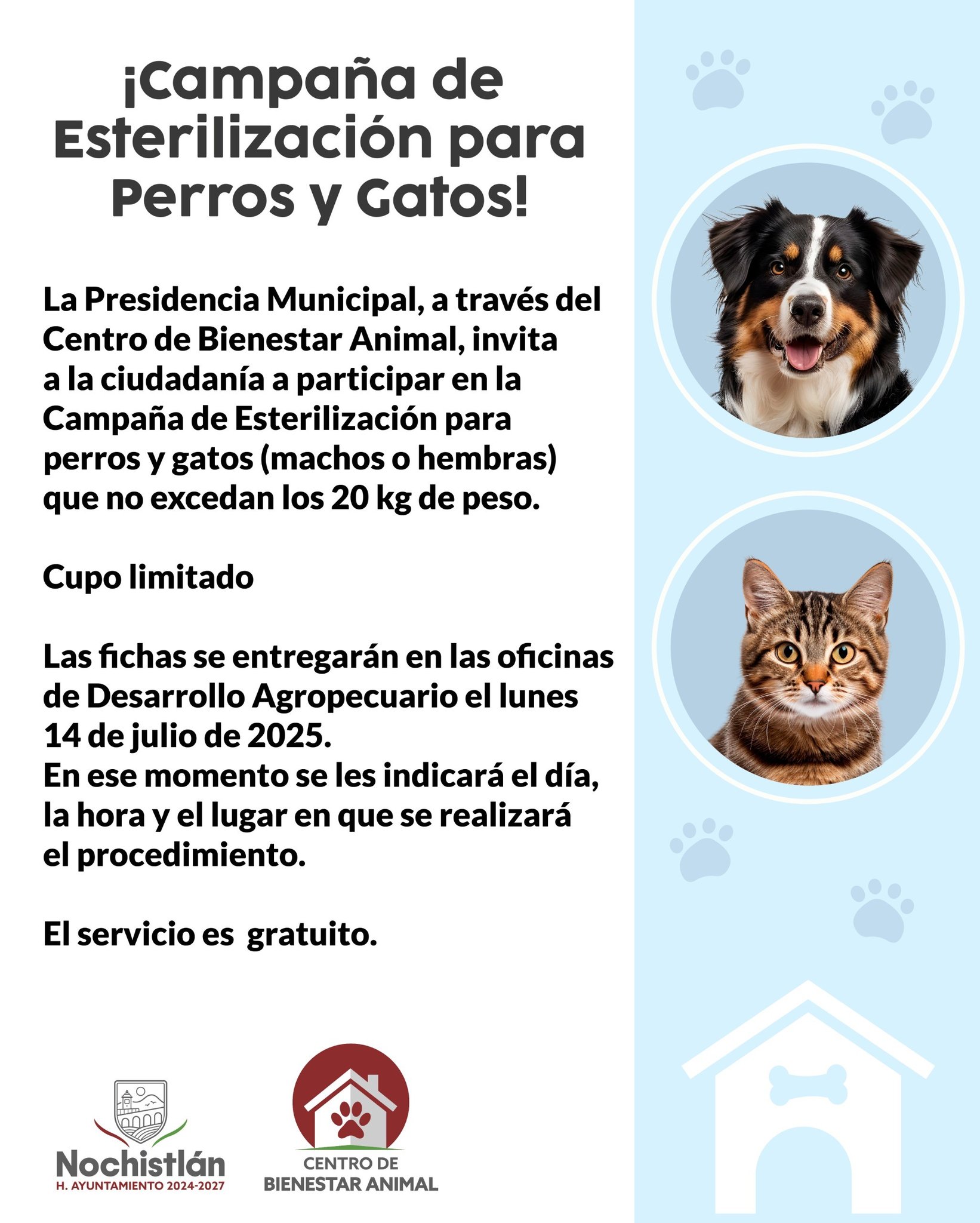 Campaña de esterilización de perros y gatos