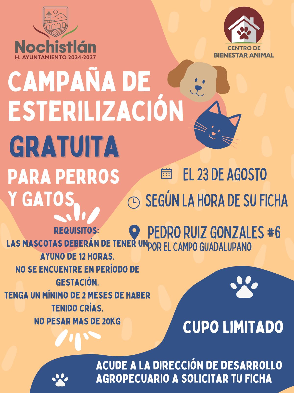 ¡Campaña de Esterilización!