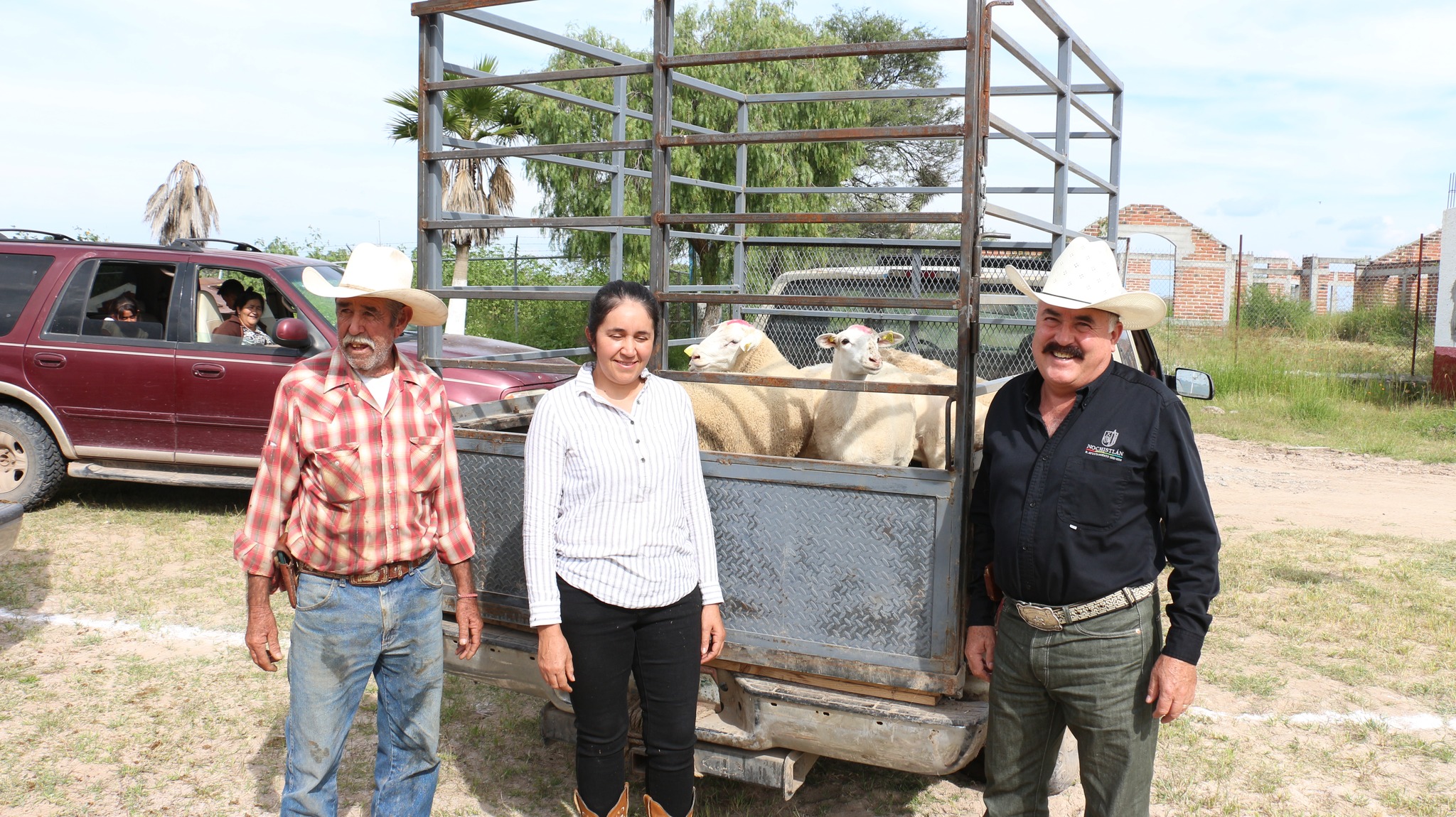 Entrega de borregos a mujeres del campo