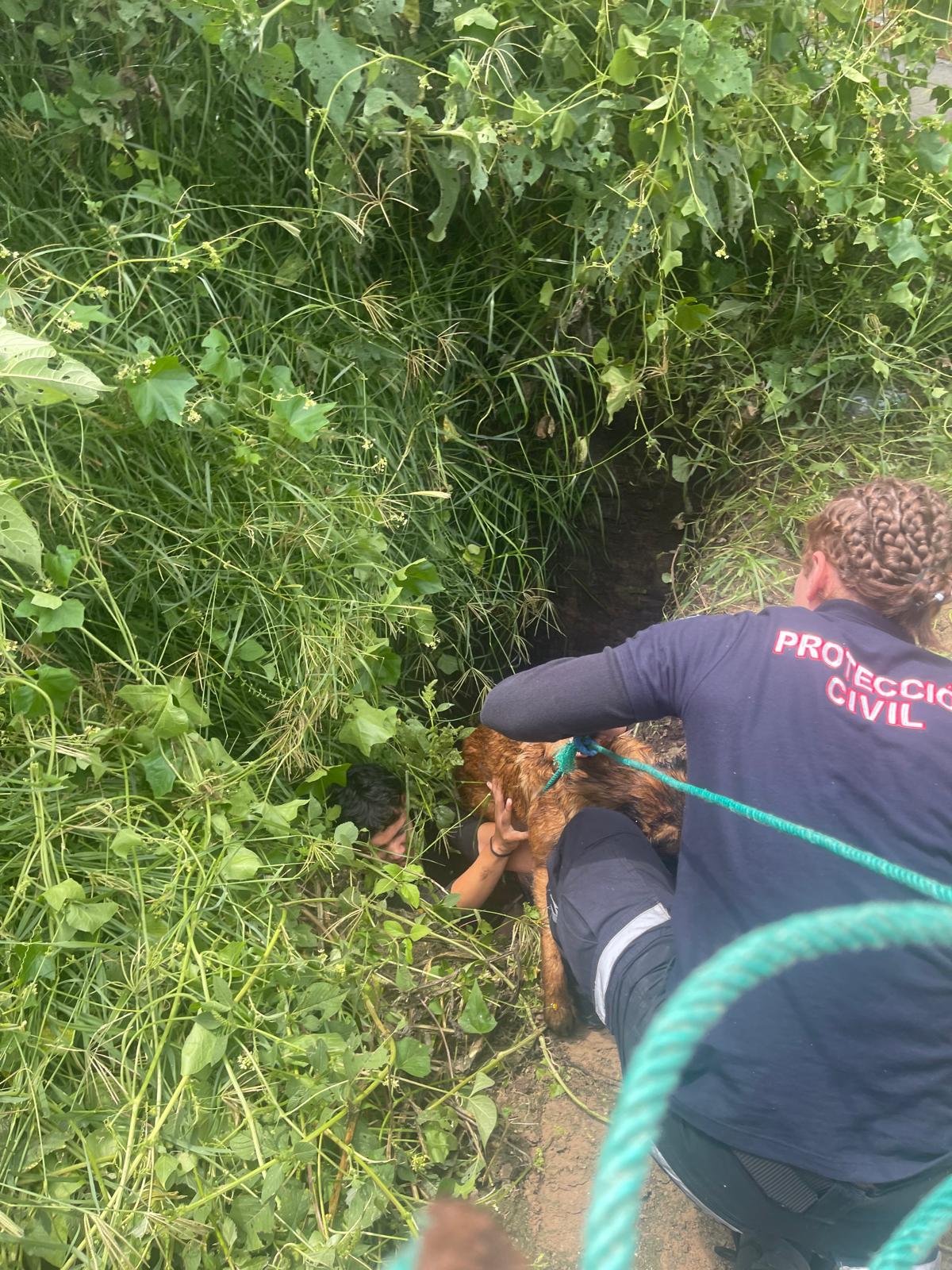 Protección Civil Rescata a canino
