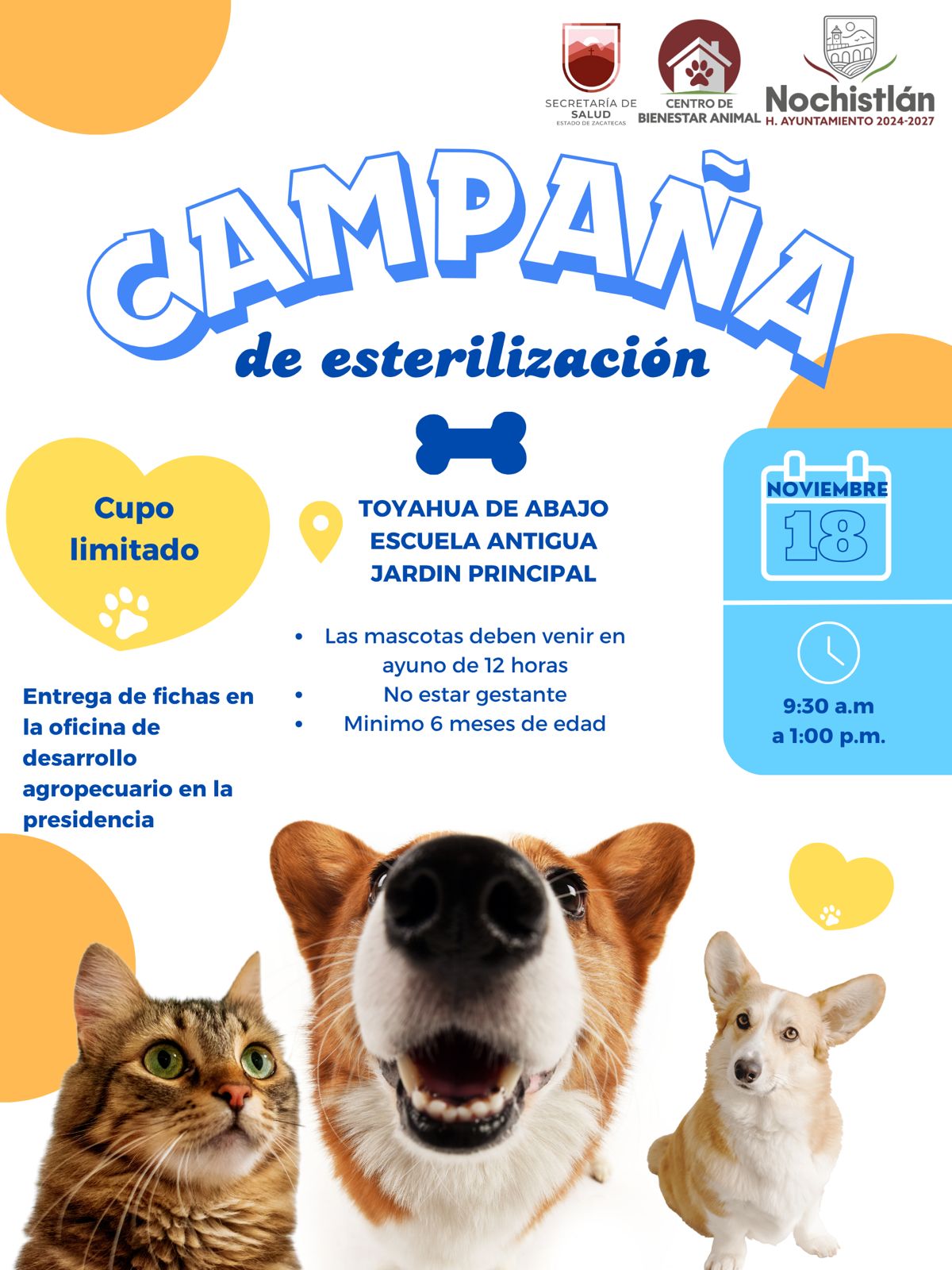 Campaña de Esterilización en Toyahua de Abajo