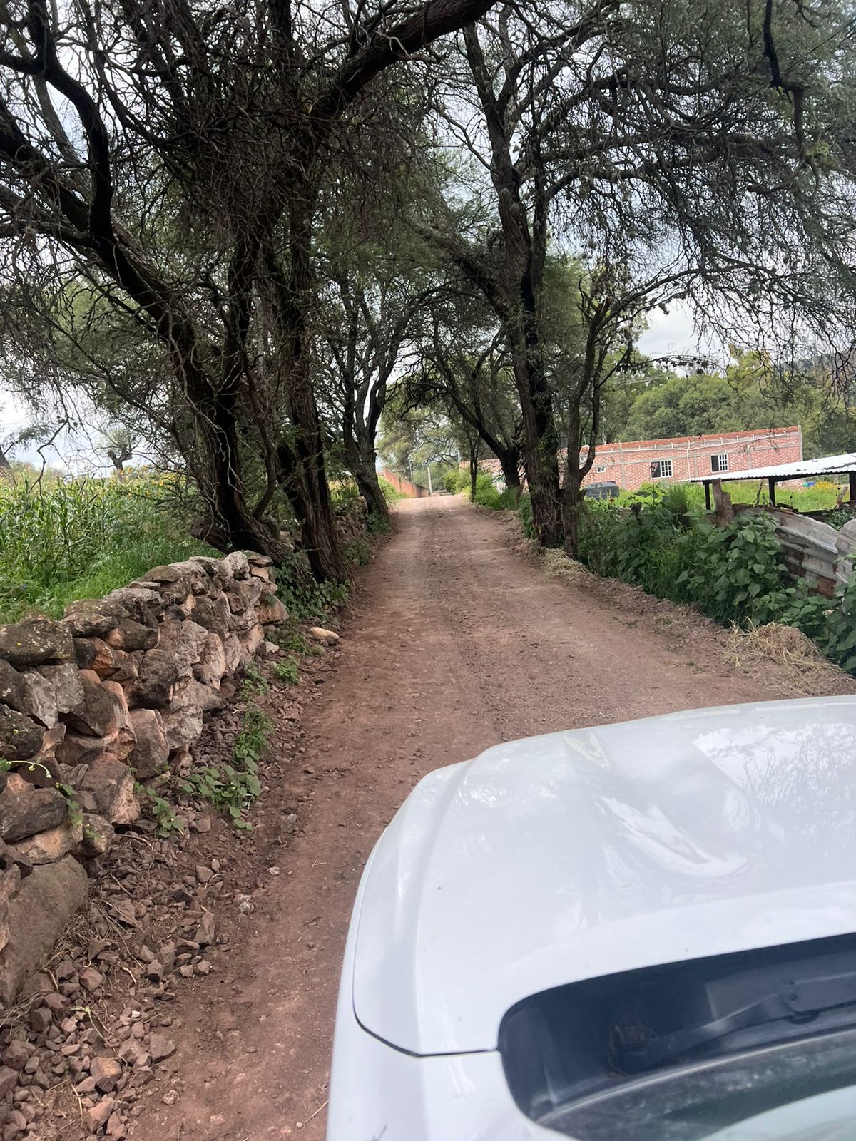 Mantenimiento de caminos rurales