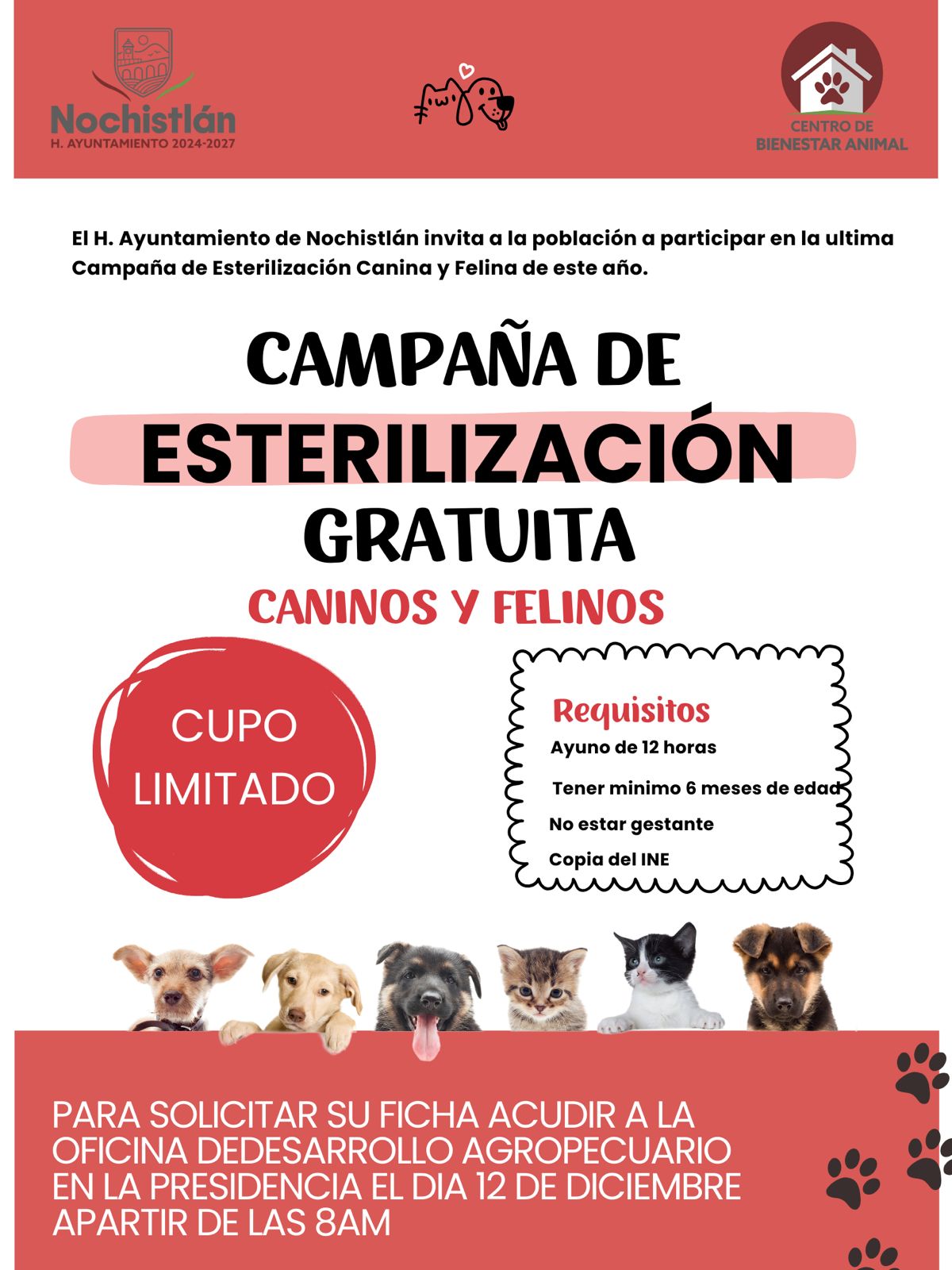 Campaña de Esterilización Gratuita para Perros y Gatos