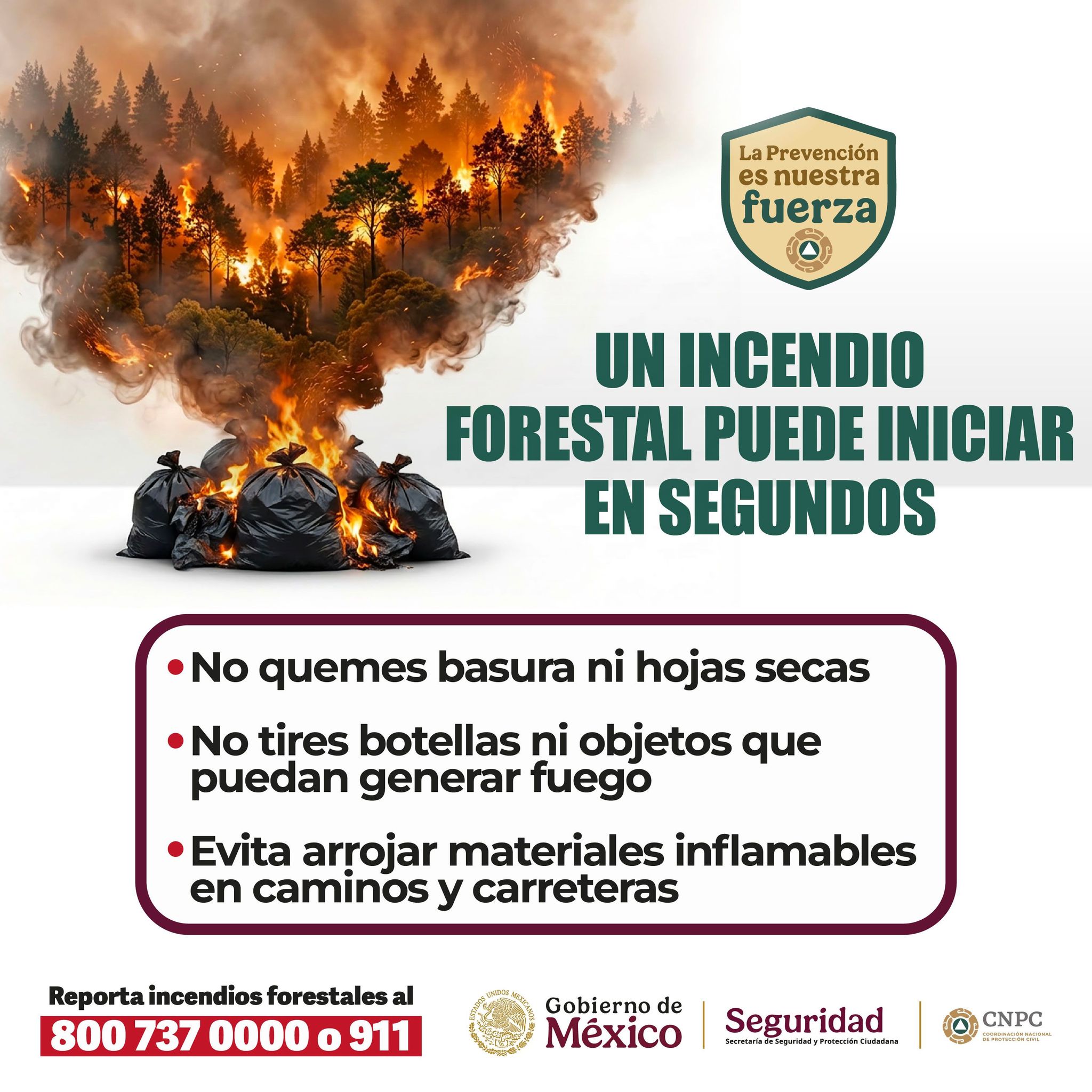 No inicies incendios forestales