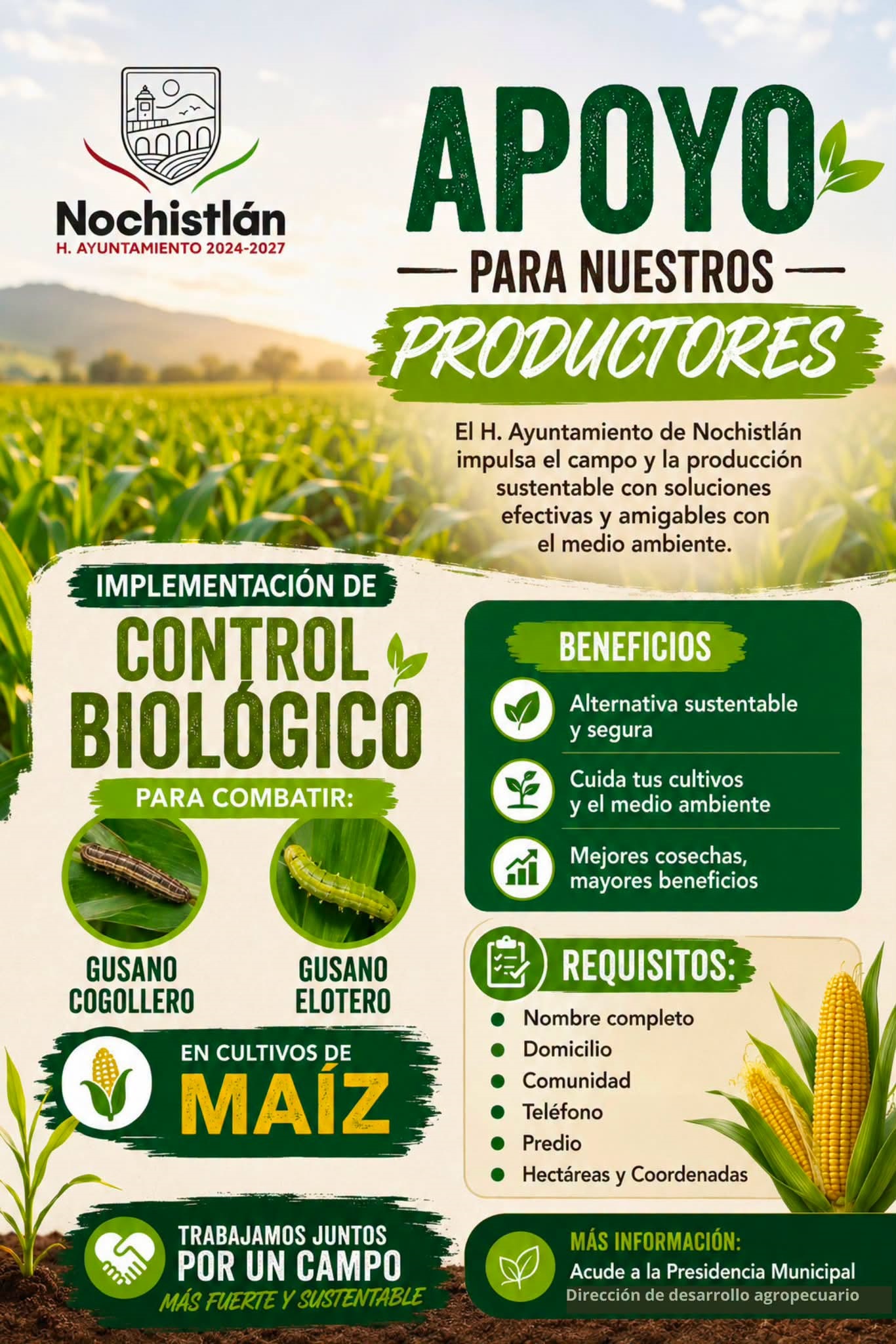 Programa para combatir el gusano cogollero y elotero