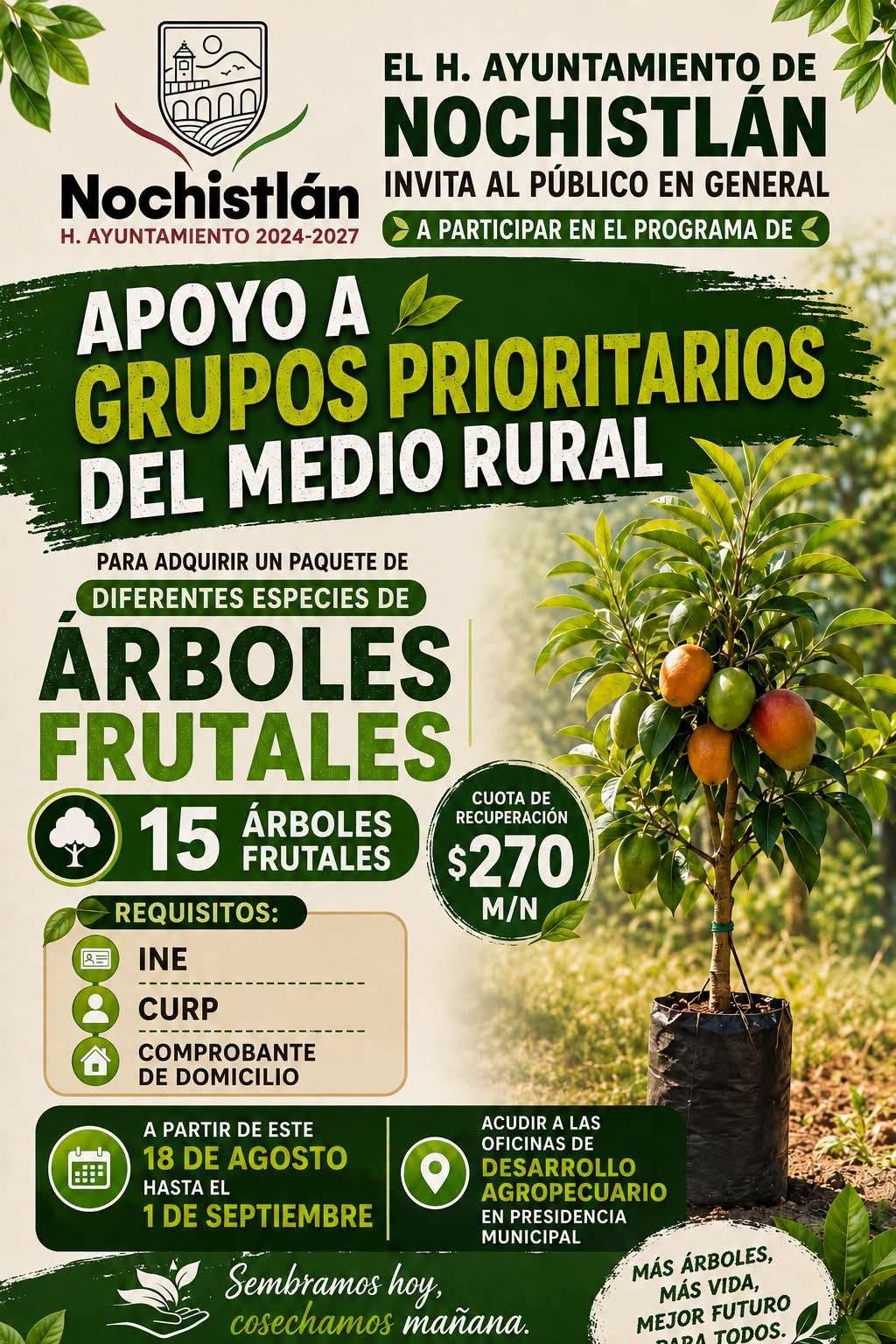 ¡Sembremos hoy, cosechemos mañana!