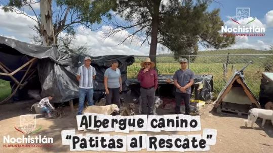 Como se trata a los animales habla mucho de un pueblo