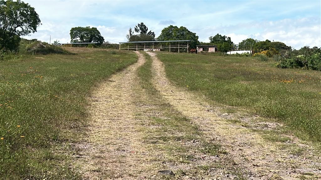 Los Sandovales se unen para limpiar y cuidar la comunidad